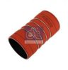 DT 3.16412 Charger Intake Hose